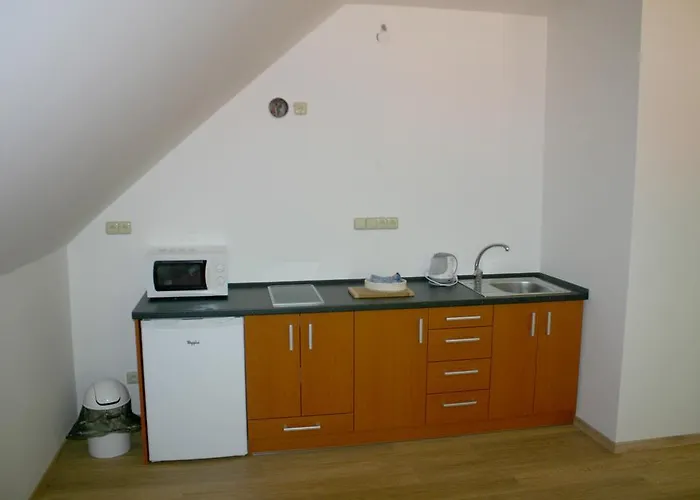 Casa de hóspedes Penzion U Blatce 3*